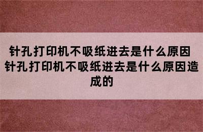 针孔打印机不吸纸进去是什么原因 针孔打印机不吸纸进去是什么原因造成的